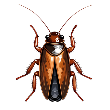 cockroach control dubai